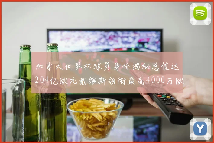 加拿大世界杯球员身价揭秘总值达204亿欧元戴维斯领衔最高4000万欧
