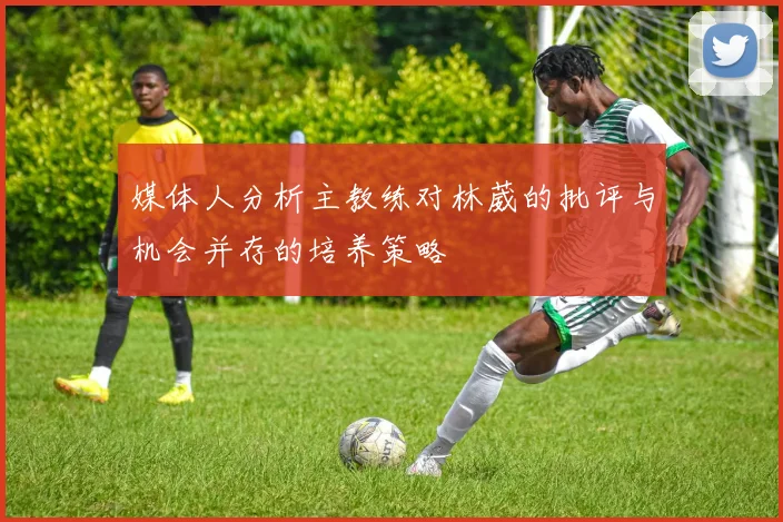 媒体人分析主教练对林葳的批评与机会并存的培养策略